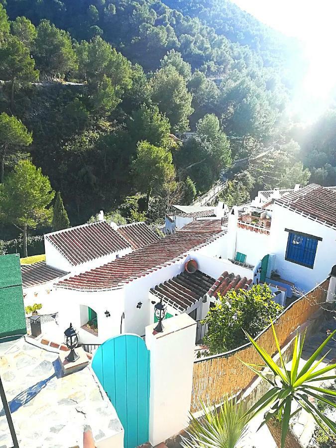 Гостьовий будинок Casa La Higuera Фріхіліана Екстер'єр фото