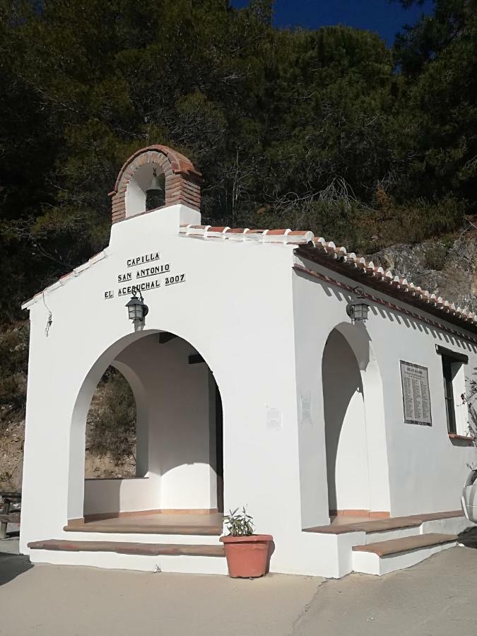 Гостьовий будинок Casa La Higuera Фріхіліана Екстер'єр фото