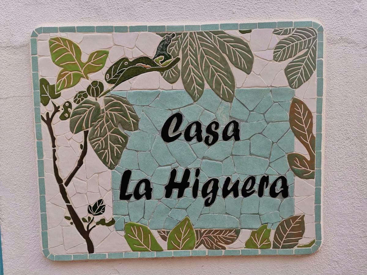 Гостьовий будинок Casa La Higuera Фріхіліана Екстер'єр фото